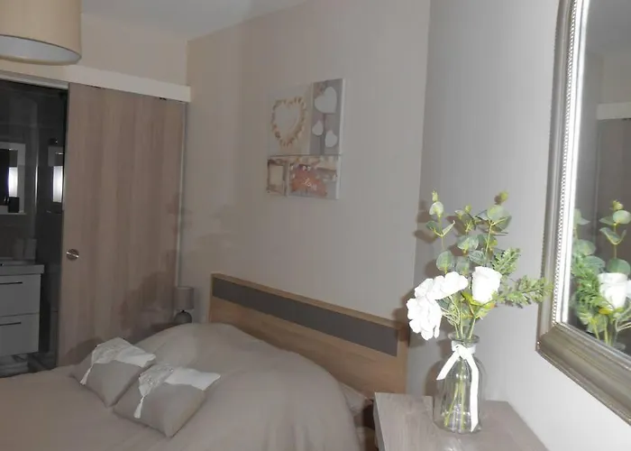 T2 - Résidence Plein Sud Appartamento *